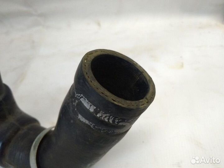 Патрубок радиатора нижний