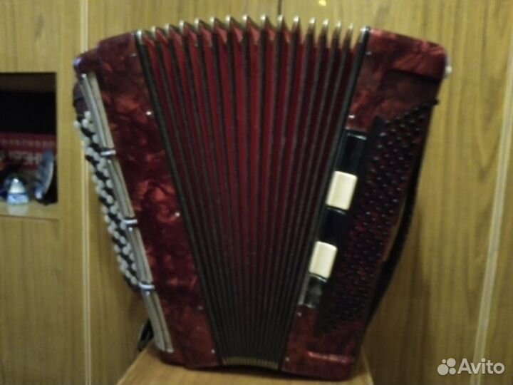 Баян weltmeister