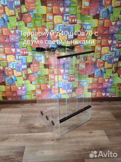 Хамелеон/ Бородатая агама/ эублефор/ Террариум