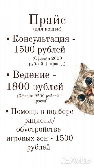 Зоопсихолог для кошки / специалист по поведению