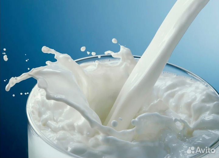 Молоко и молочная продукция