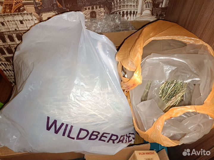 Корм,сено для шиншиллы +вкусняшки