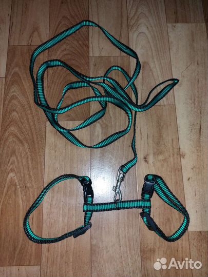 Шлейка поводок