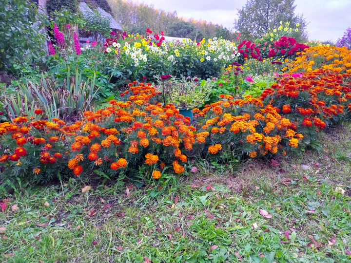 Участок 10 сот. (СНТ, ДНП)