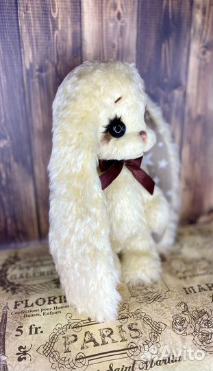 Зайка Звездочёт