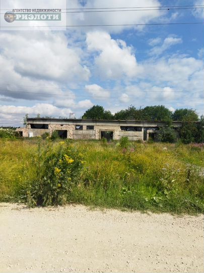 Участок 54,9 сот. (промназначения)