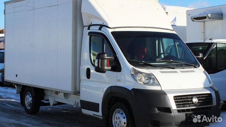 Водитель на Фиат Дукато и грузовую Газель