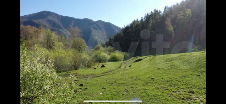 Участок 9 га (СНТ, ДНП)