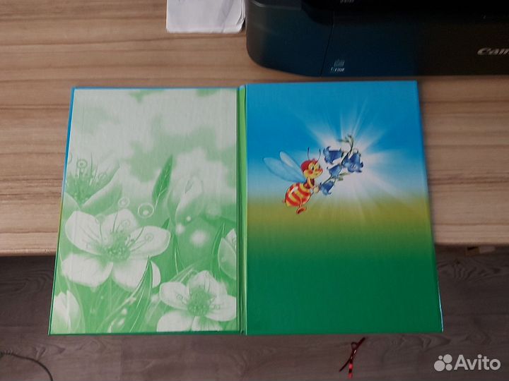 Папки выпускников датского сада