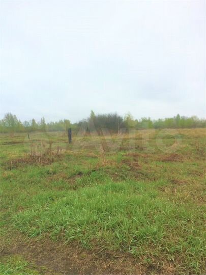 Участок 31 сот. (ИЖС)