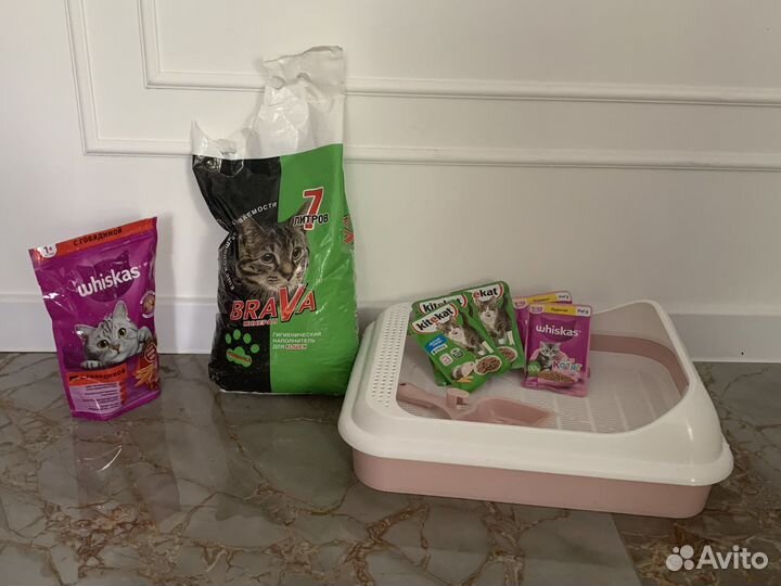 Лоток для кошек большой