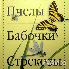 Цветы, которые привлекают бабочек и пчел | блог интернет - магазина АртФлора