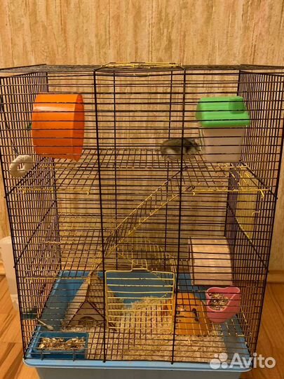 Хомяки с клеткой