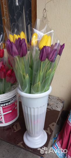 Тюльпаны к 8 марта опт и розница