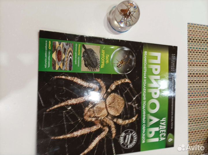 Журнал Чудеса природы # 6