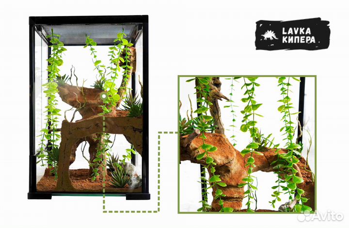 Оформление террариума под ключ