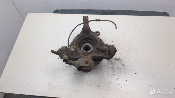 Ступица (кулак, цапфа) правая задняя Lexus RX