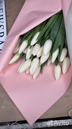 Тюльпаны к 8 марта букеты