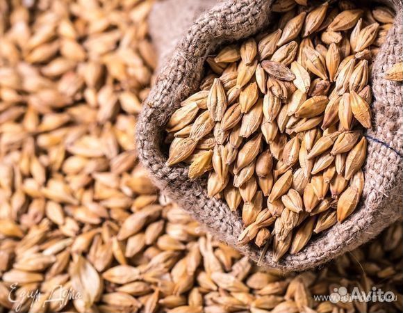 Зерно -пшеница, ячмень