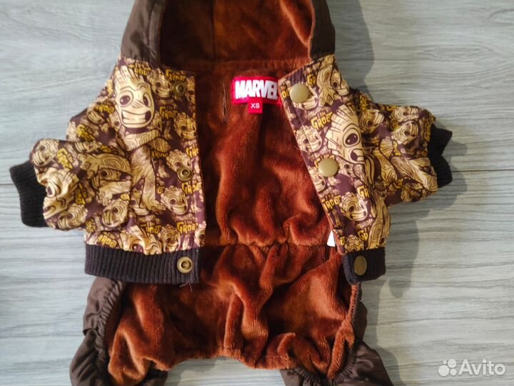 Одежда на маленькую собаку