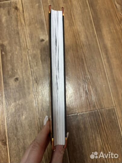 Коты воители Приключения Ольхолапа