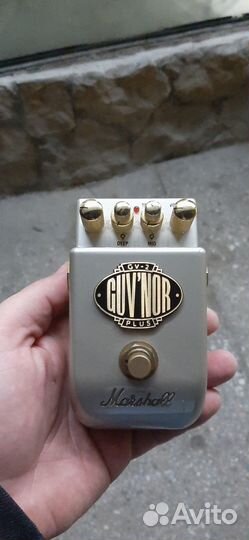 Marshall guvnor 2