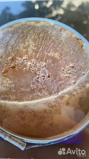 Мед домашний