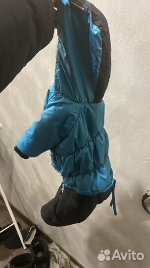 Костюм для собаки