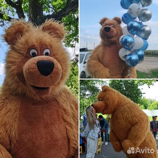 Медведь ростовой. Чебурашка