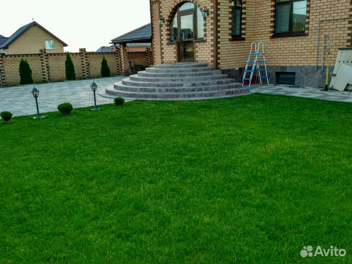 Рулонный газон