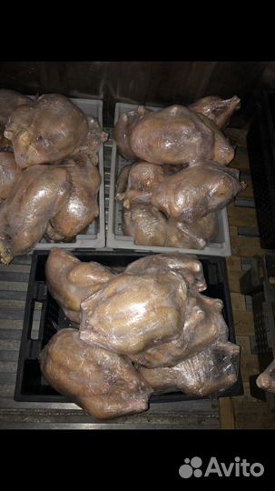 Мясо бройлера халяль,Оптом,фарш,рулет куринный