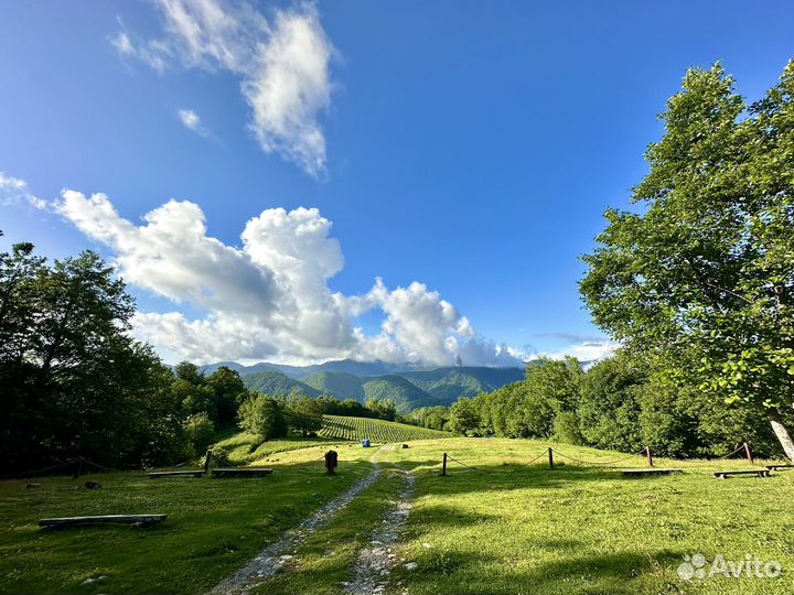 Трансфер. Сопровождение. Индивидуальные экскурсии