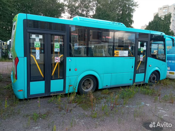 Городской автобус ПАЗ Вектор Next, 2020