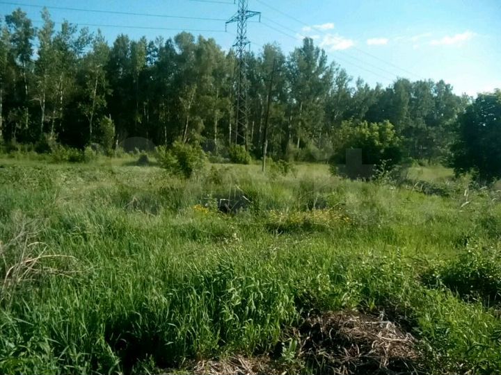 Участок 11 сот. (ИЖС)