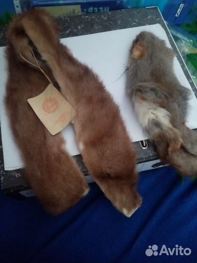 Шкурка животного