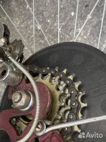 Хвз турист капсула времени