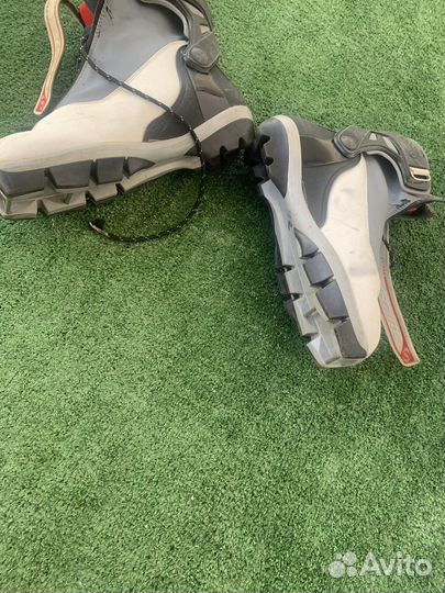 Лыжные ботинки spine