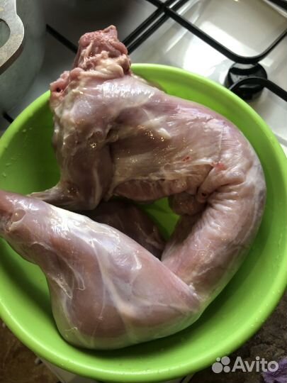 Мясо кролика