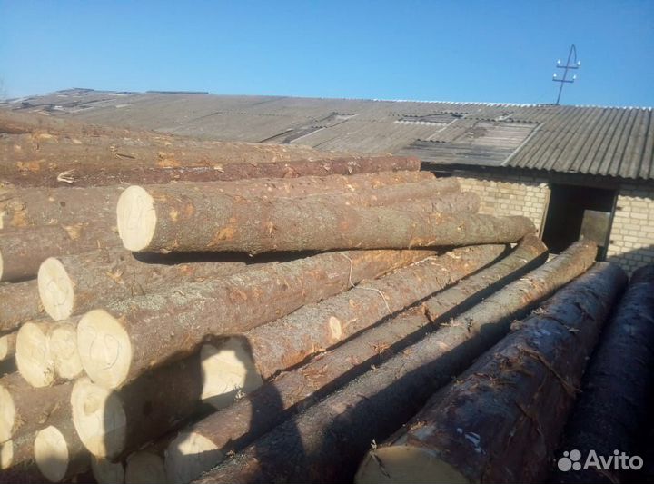 Лес кругляк