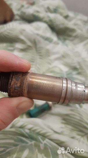 Датчик кислорода