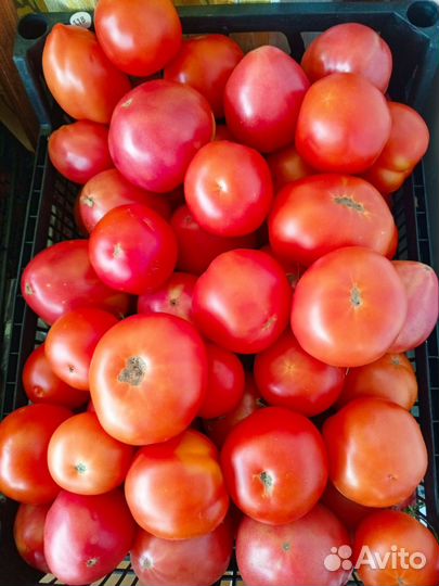 Помидоры и огурчики