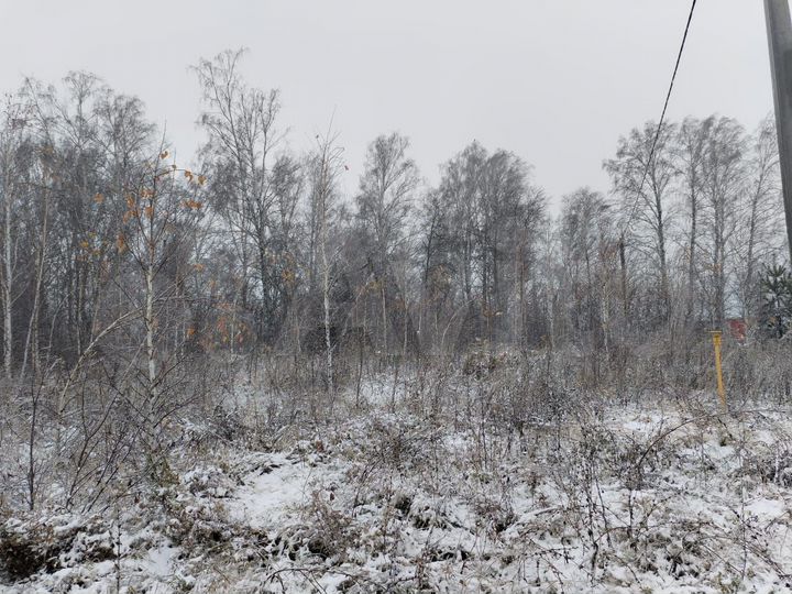 Участок 8 сот. (ИЖС)