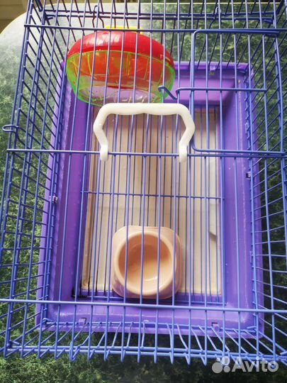Клетка для джунгарского хомяка