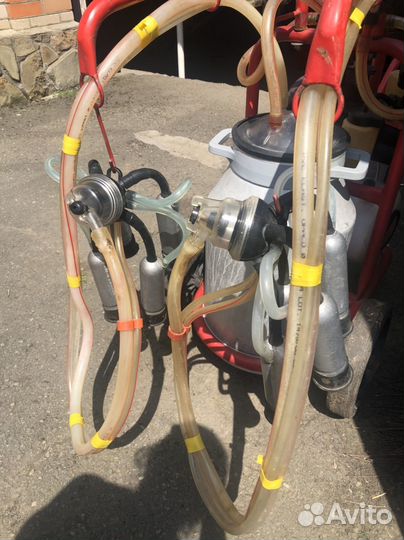 Доильный аппарат для коров