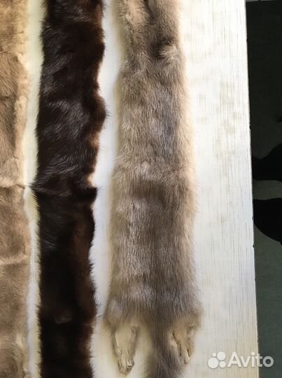 Шкурки норки