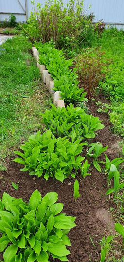 Дом 20 м² на участке 9 сот.