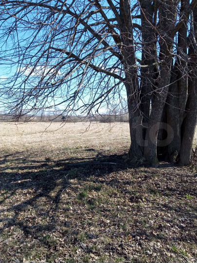 Участок 100 сот. (ИЖС)