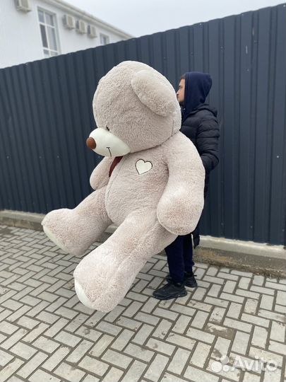 Большой Плюшевый медведь