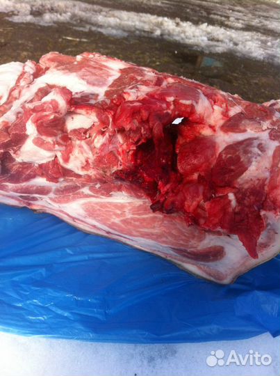 Мясо домашнее, мангалица