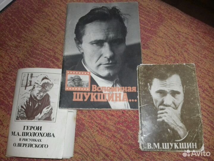 Диорама, панорама, книги о Шолохове, фото Шукшина